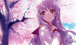 漫猫动漫bt,探索二次元世界的奇幻之旅